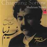 غم زیبا شهرام ناظری